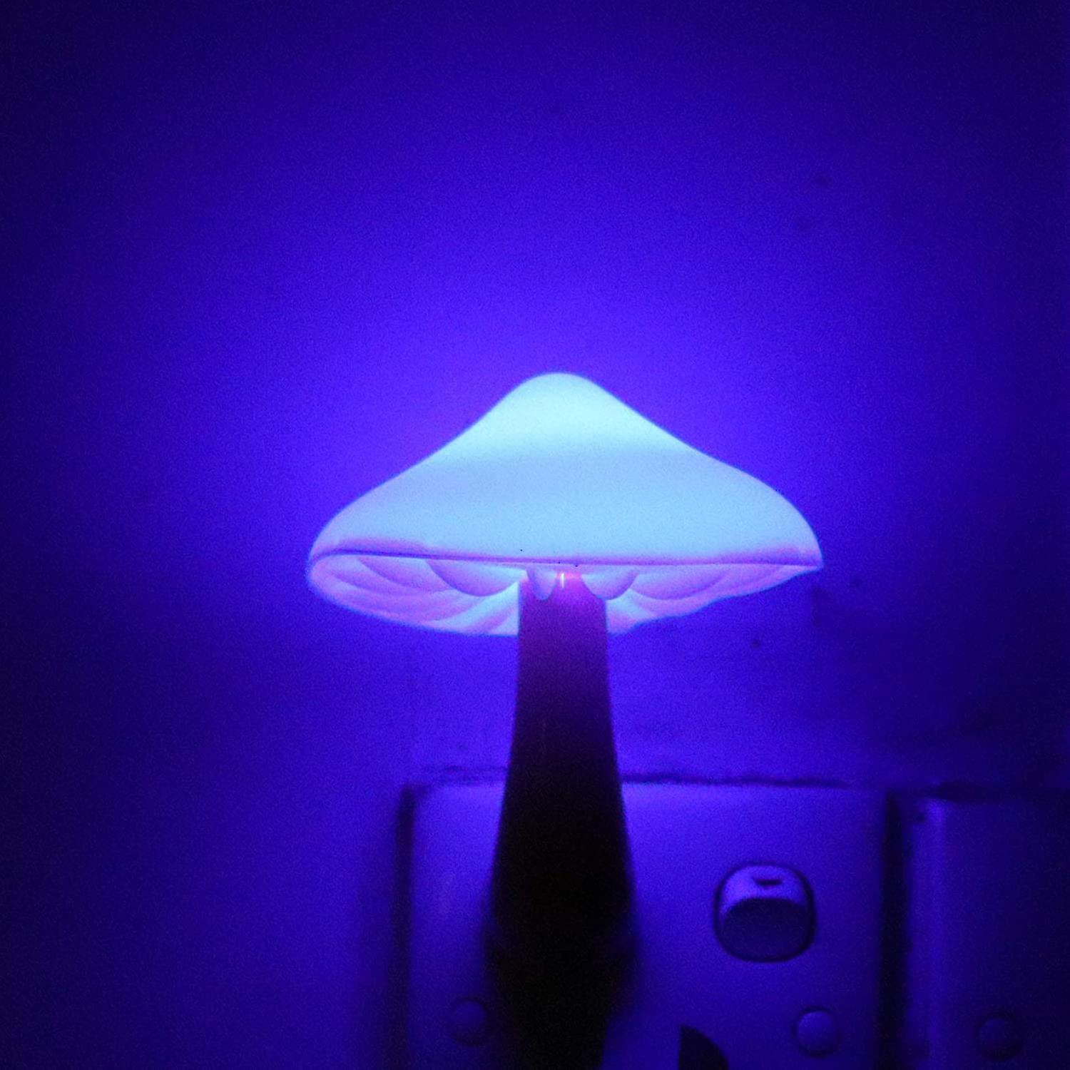 Sensor Led Night Lights For Adults Kids Nightlight Cute Mushroom Night Light Plug In Wall Lamps For Bedroom， Bathroom，toilet， Stairs， Kitchen， Blue