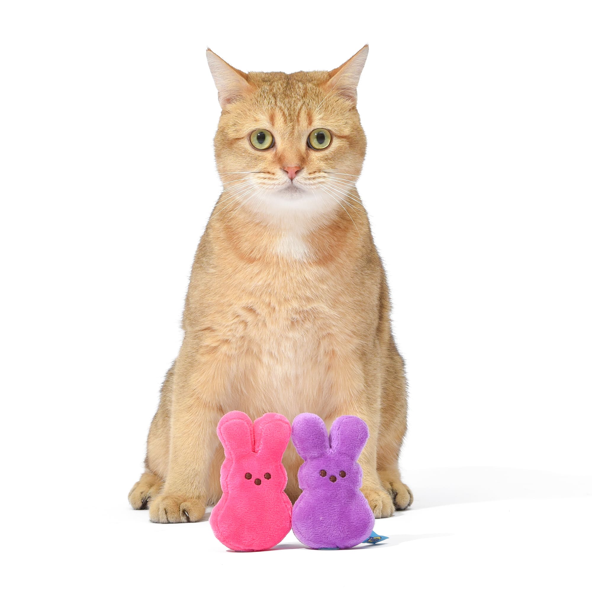 Peeps for Pets Bunnies Plush Catnip Cat Toys， Small， Pack of 2