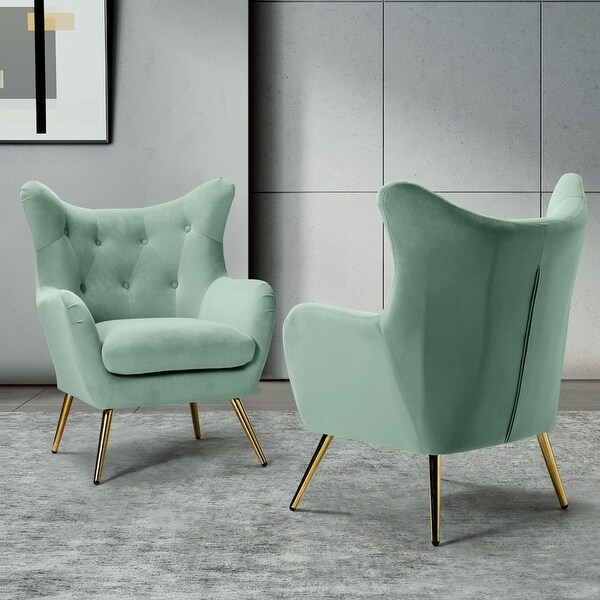 Eusebio Tufted Velvet Accent Chair with Wingback and Metal Gold Legs for Living Room Set of 2 by HULALA HOME