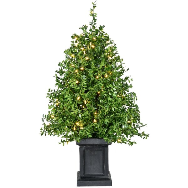 Fraser Hill Farm 2Ft. Boxwood Porch Tree in Black Pot with Warm White Lights