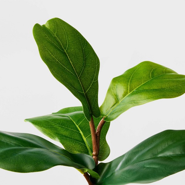 Fiddle Leaf Arrangement