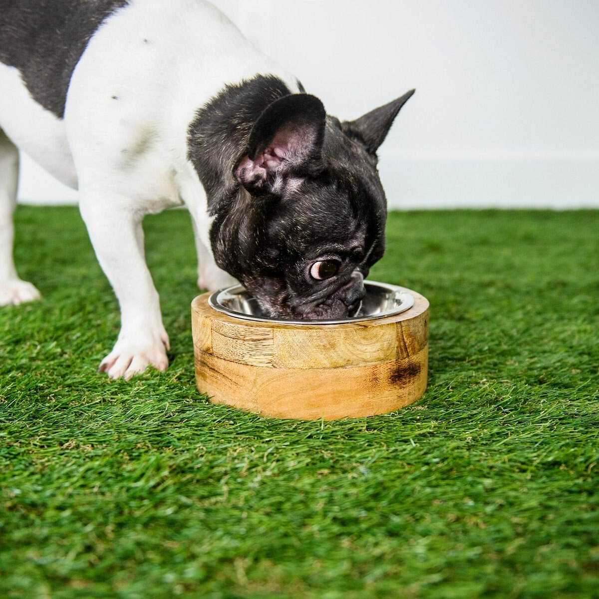 GF Pet Mango Wood Cat and Dog Bowl