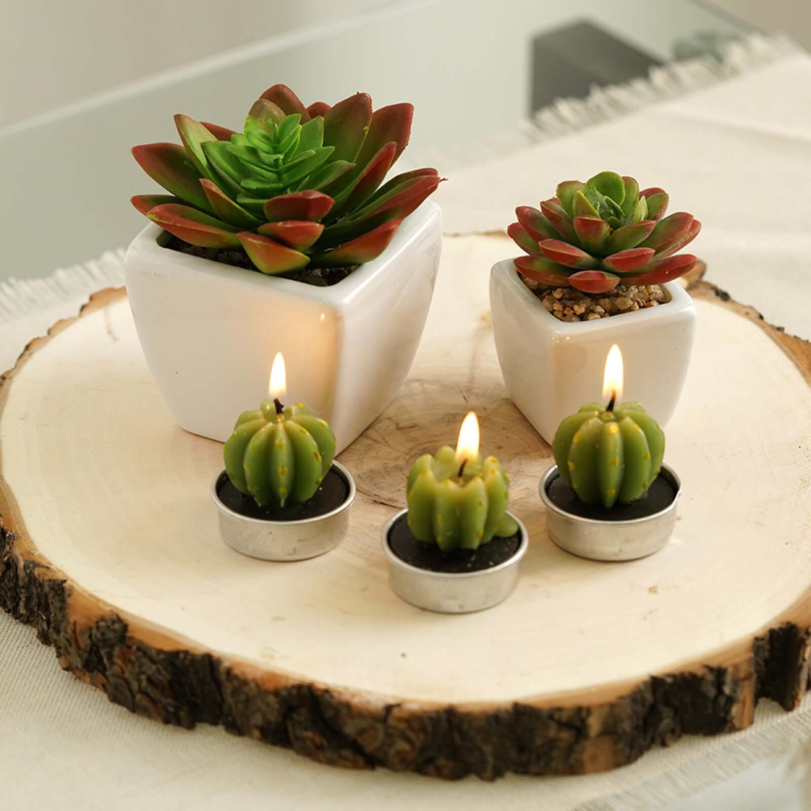 3 Pack Ceramic Planter Pot and Artificial Echeveria Elegans Plants 4