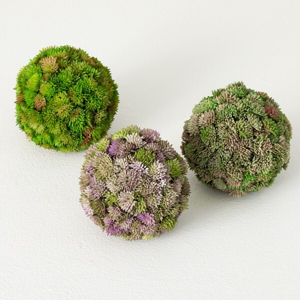 4.25H Sullivans Colorful Sedum Orb Set of 3，Multicolored