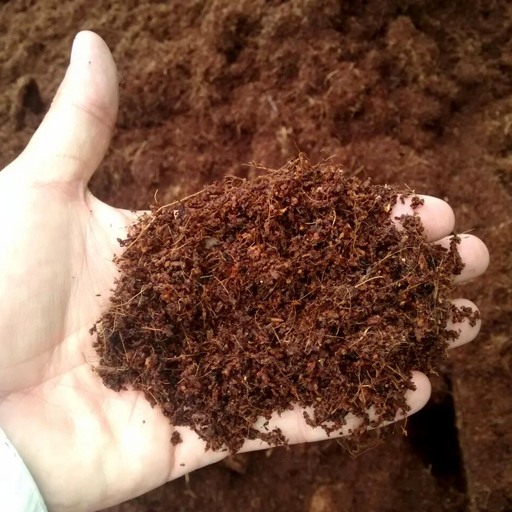 COCO PEAT GROW BAGS: A NATURAL SOLUTION FOR REDUCING WASTE