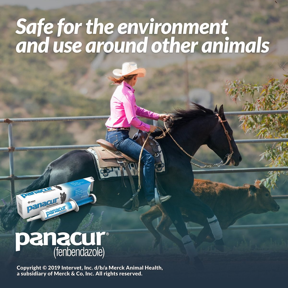 Panacur Equine Paste 10% Horse Dewormer， 25g