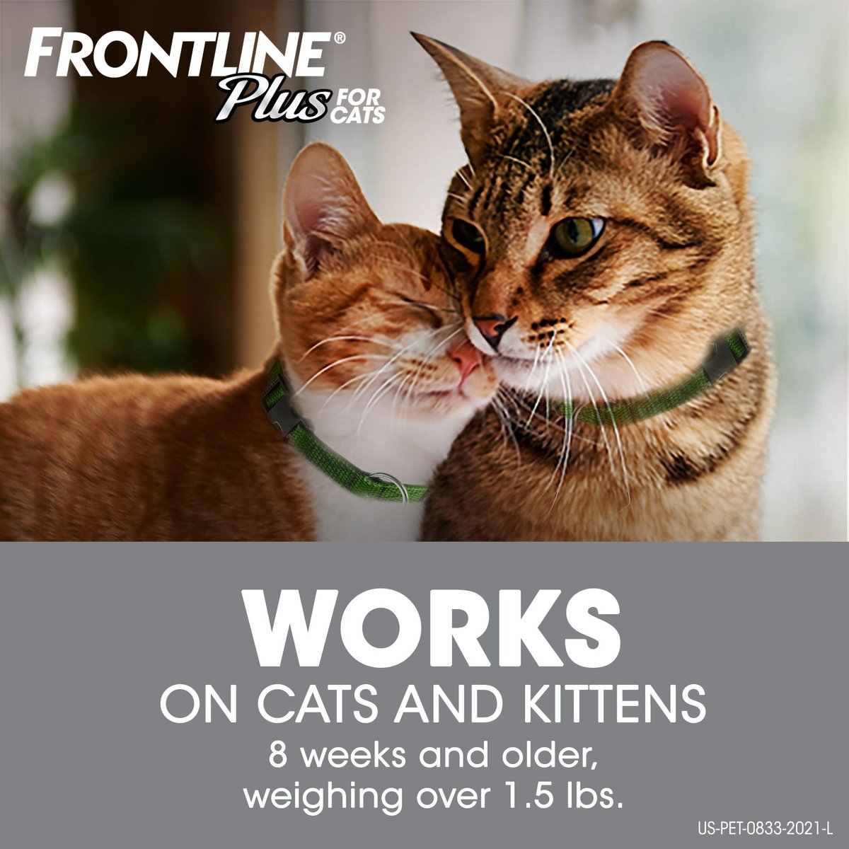 Frontline Plus Flea and Tick Spot Treatment for Cats， over 1.5 lbs