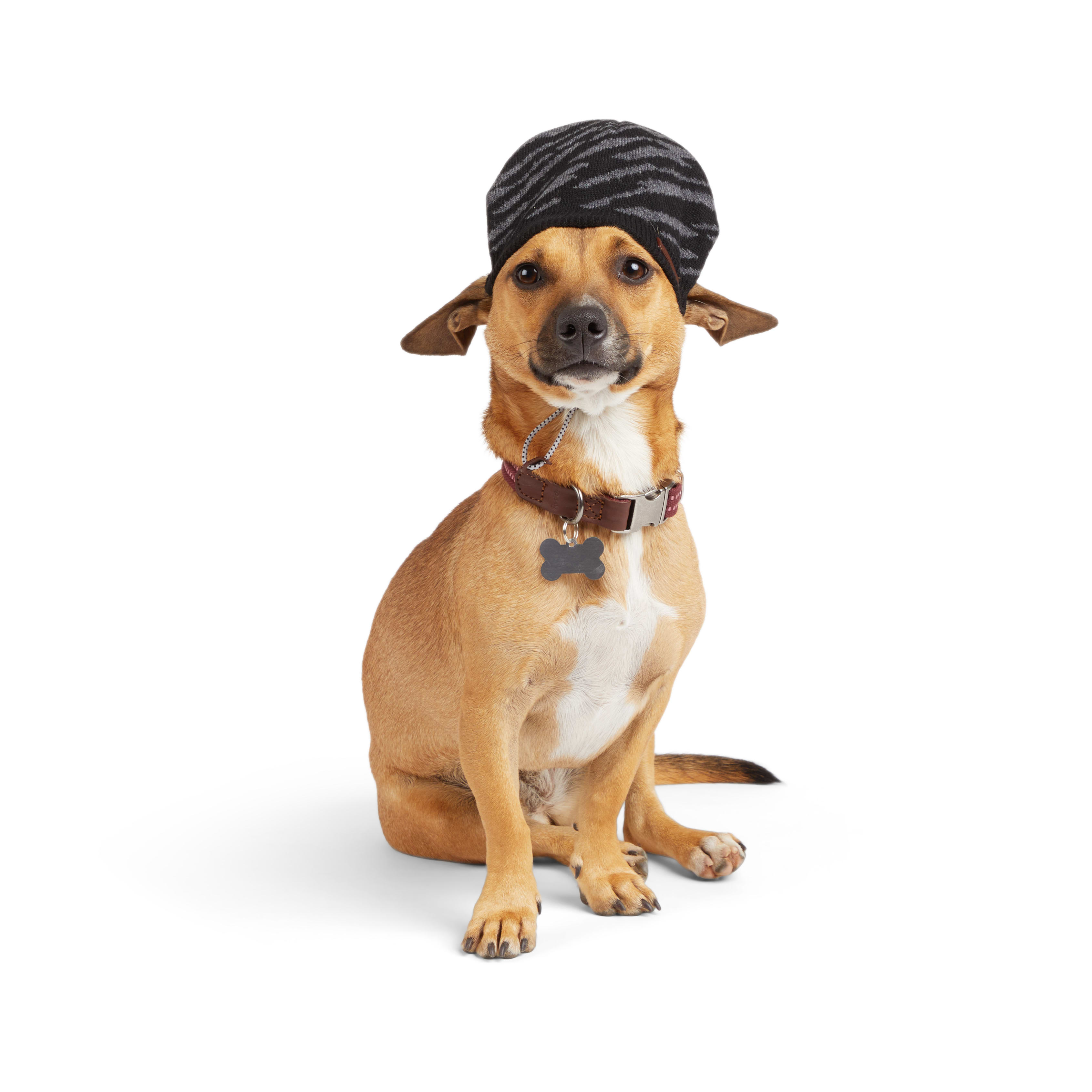 Reddy Black Beanie for Dog， X-Small/Small