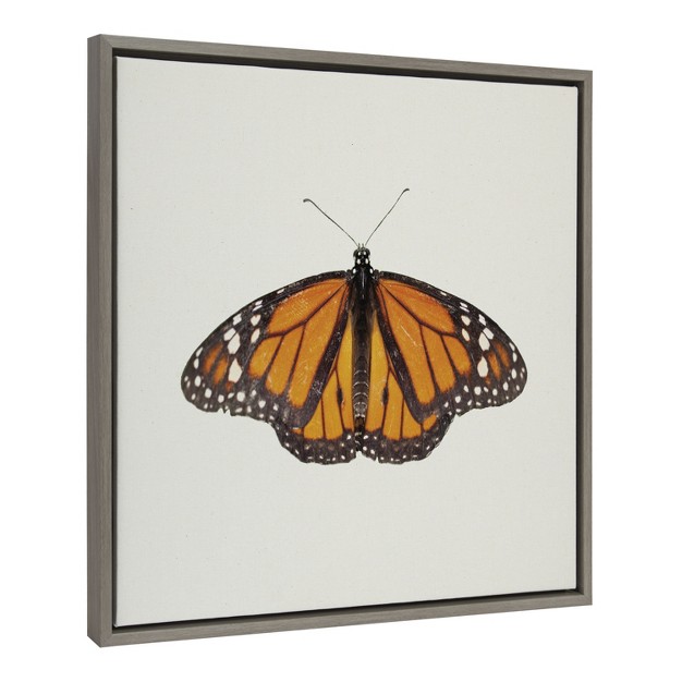 Kate And Laurel Sylvie Monarch Butterfly Framed Canvas By Robert Cadloff Of Bomobob 22x22 Gray