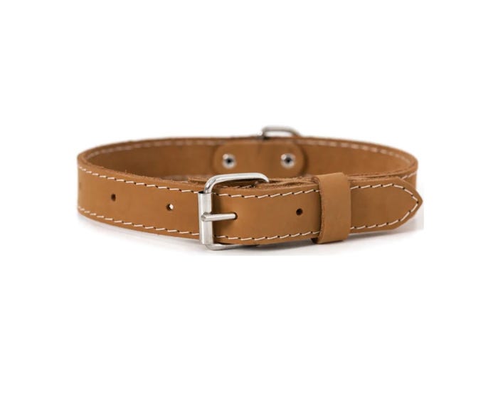 Euro Dog Soft Leather Dog Collar， Beige， Medium - TMT