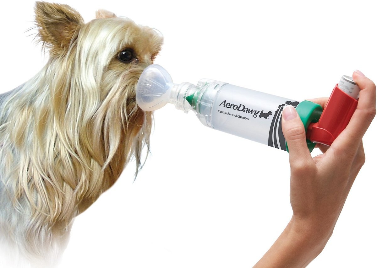 Trudell Medical International AeroDawg Dog Asthma Aerosol Chamber