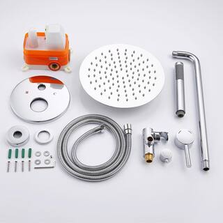 GIVING TREE 1-Spray 10 in. Round Rainfall Shower Head and Handheld Shower Head in Chrome XLHDDFAR0002