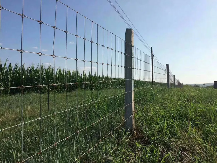 knot type deer fence tight lock mesh fence galvanized grassland fence farm 8ft manufacturer supply