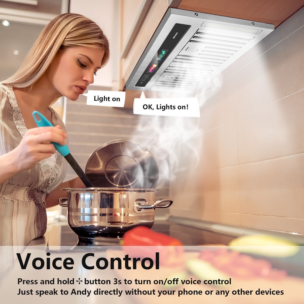 30 in. Convertible Insert Range Hood with Voice Control