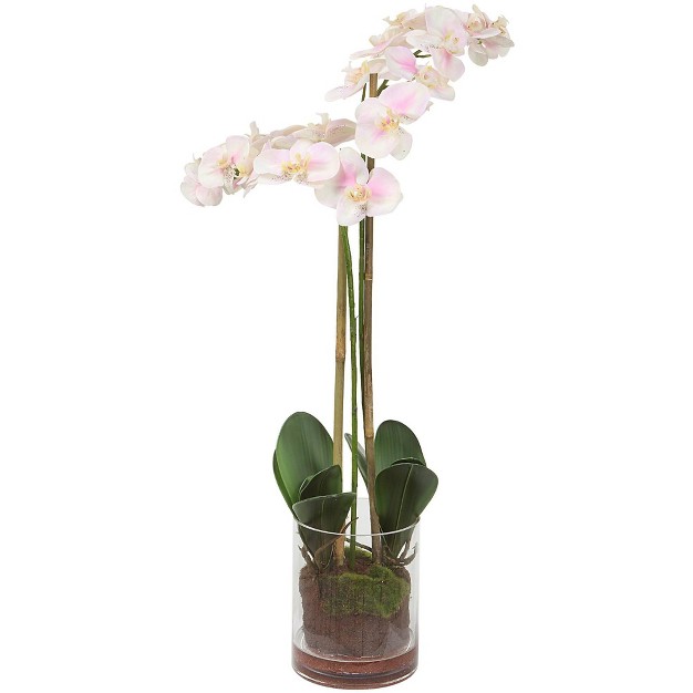 Uttermost Blush 34-in High Pink Orchid