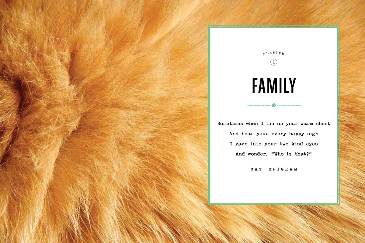 I Could Pee on This: and Other Poems by Cats