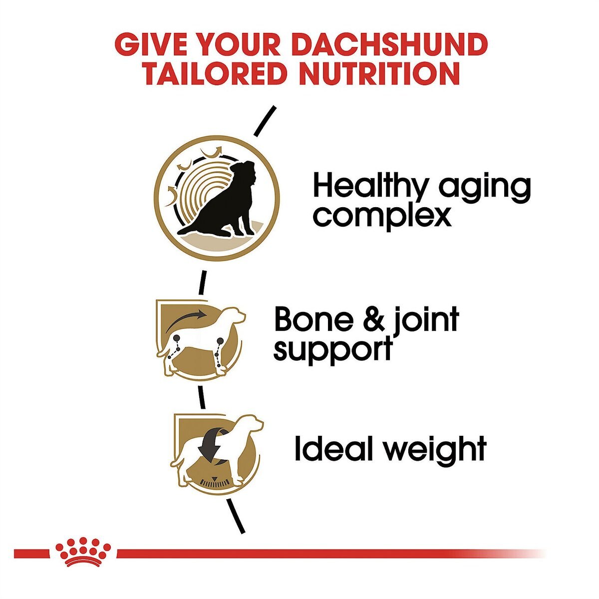 Royal Canin Breed Health Nutrition Dachshund Adult 8+ Dry Dog Food