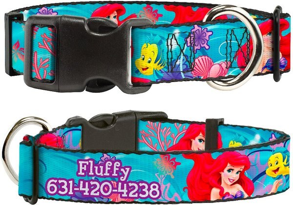 Buckle-Down Polyester Personalized Dog Collar， Ariel and Flounder