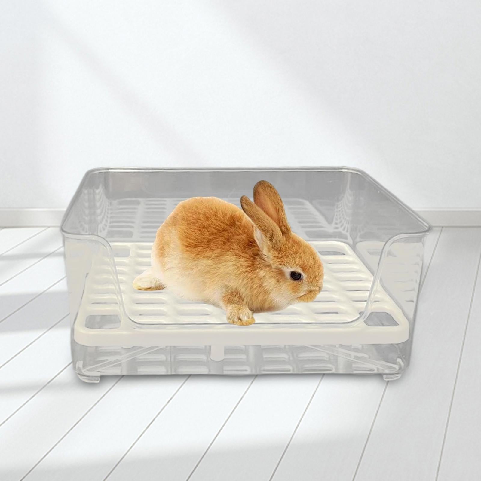 Rabbit Litter Box Rectangular Litter Box Potty Trainer for Rabbits Galesaurus