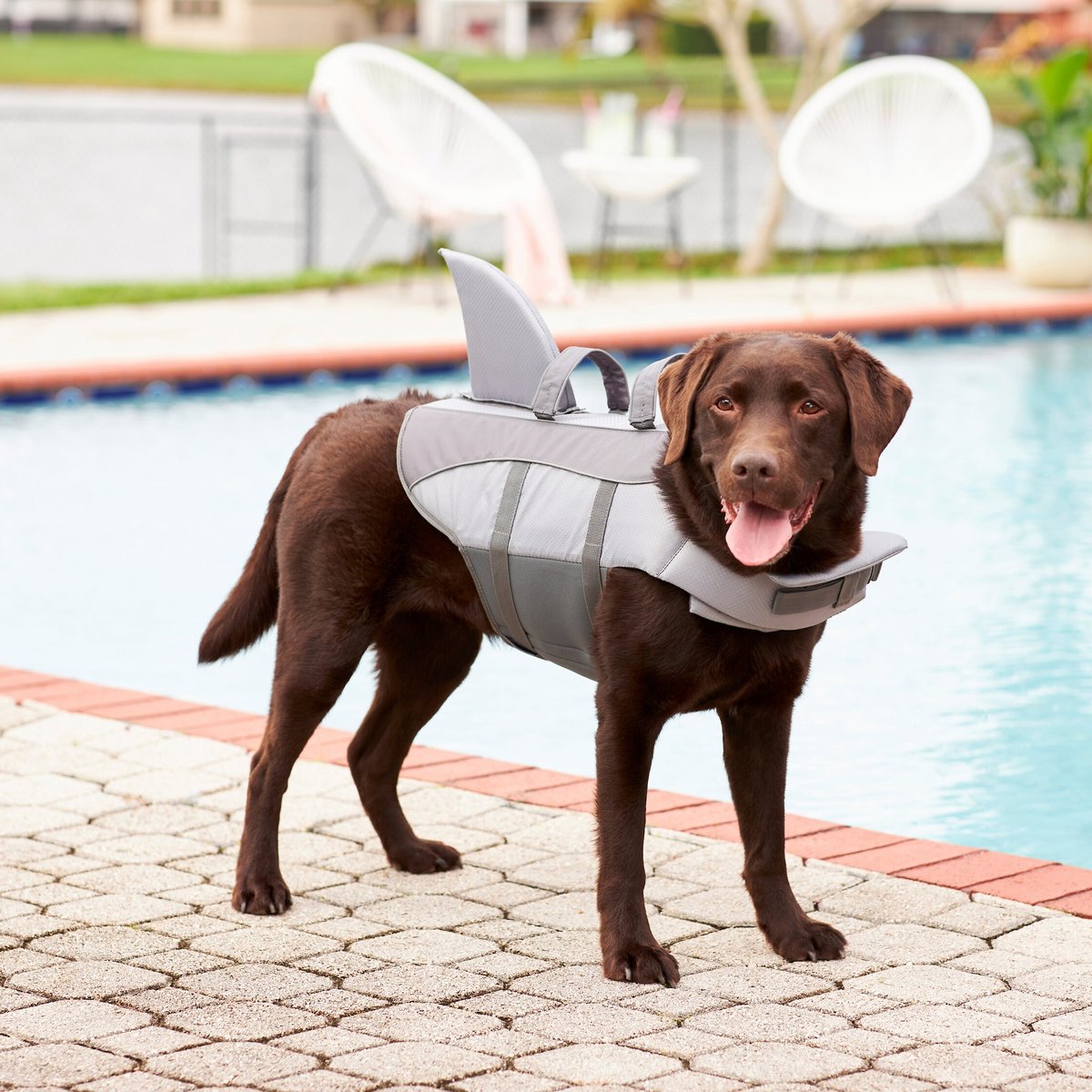 Frisco Shark Dog Life Jacket