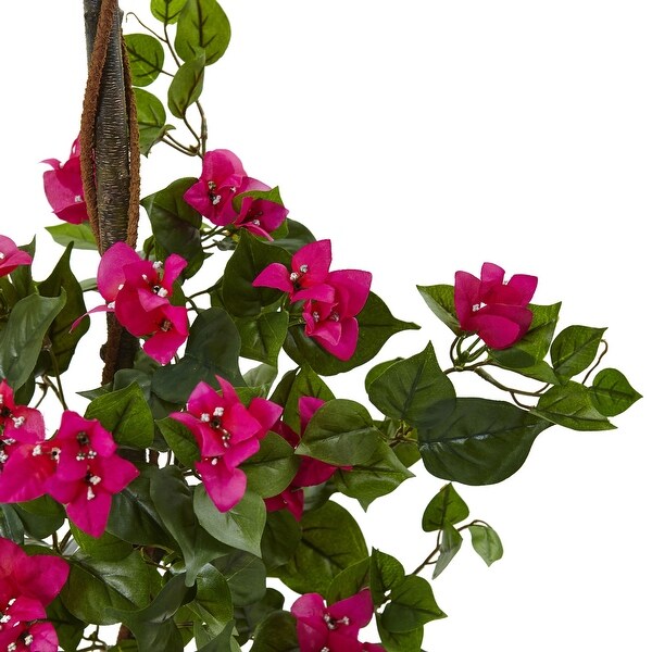 5.5' Bougainvillea Tree with European Barrel Planter