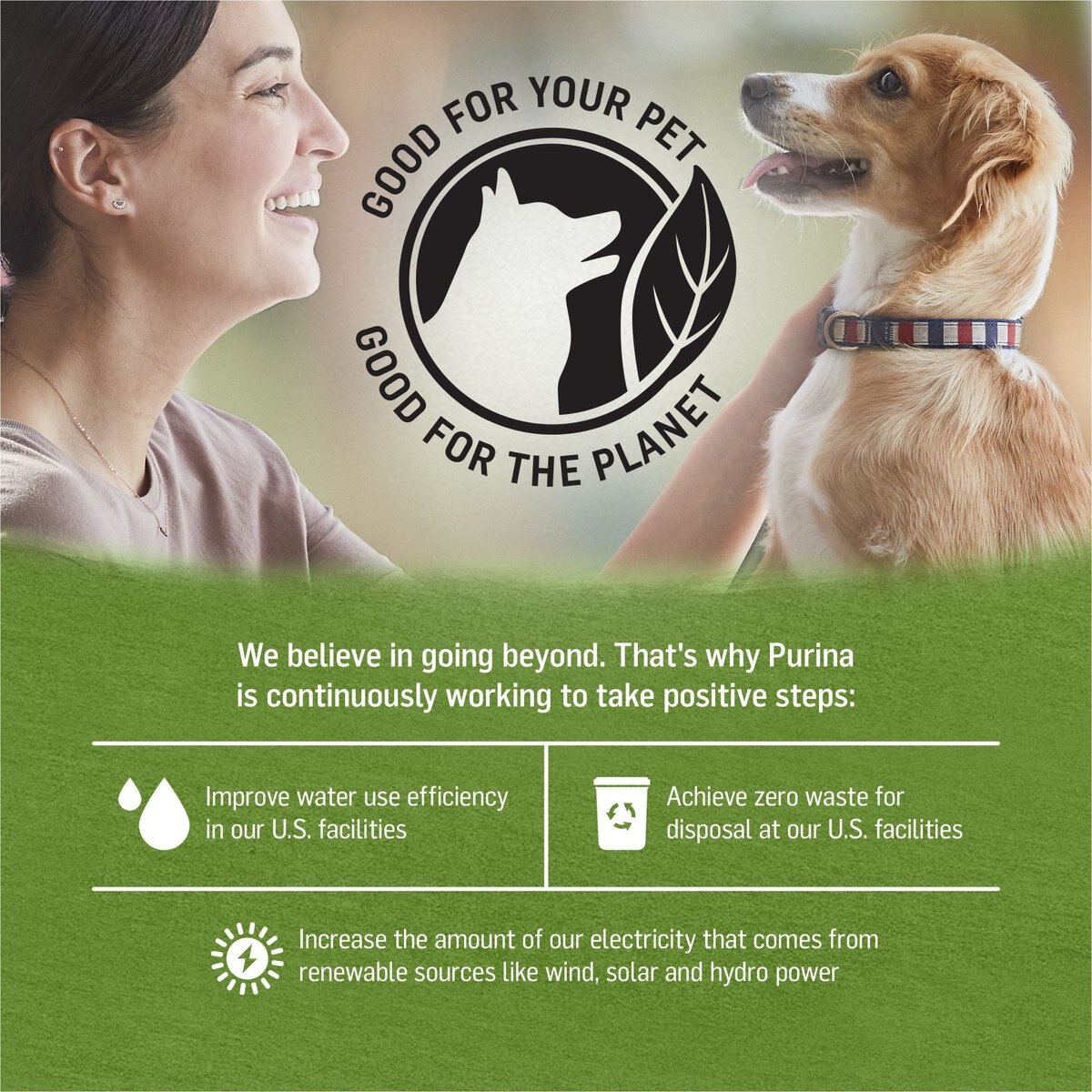 Purina Beyond Grain-Free Chicken， Lamb and Spinach Recipe Ground Entree Canned Dog Food