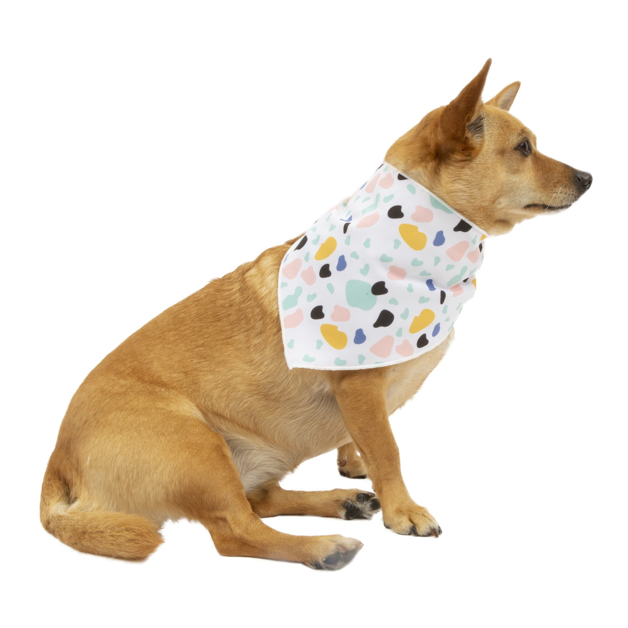 Vibrant Life Favorite Child Dog Bandana， 2 Pack， Multicolor， XS