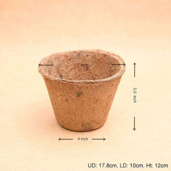 7 inch (17.8 cm) XL Coco Round Pot (Brown) (set of 6)