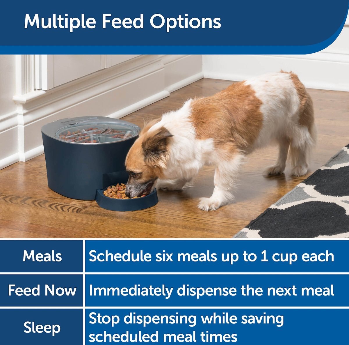 PetSafe 6-Meal Automatic Dog and Cat Feeder