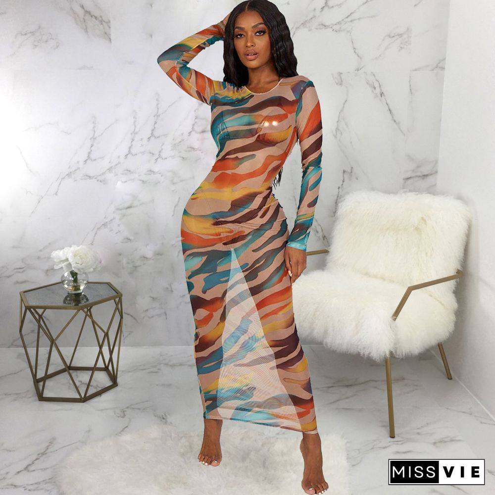 Mesh Print Long Sleeve Maxi Dresses