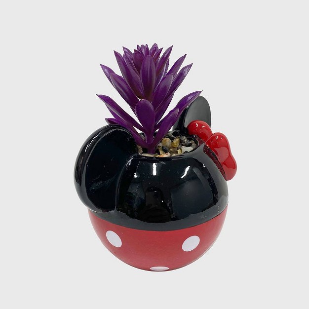 Disney 2pc Indoor outdoor Ceramic Mickey And Minnie Mouse Classic Succulent Set