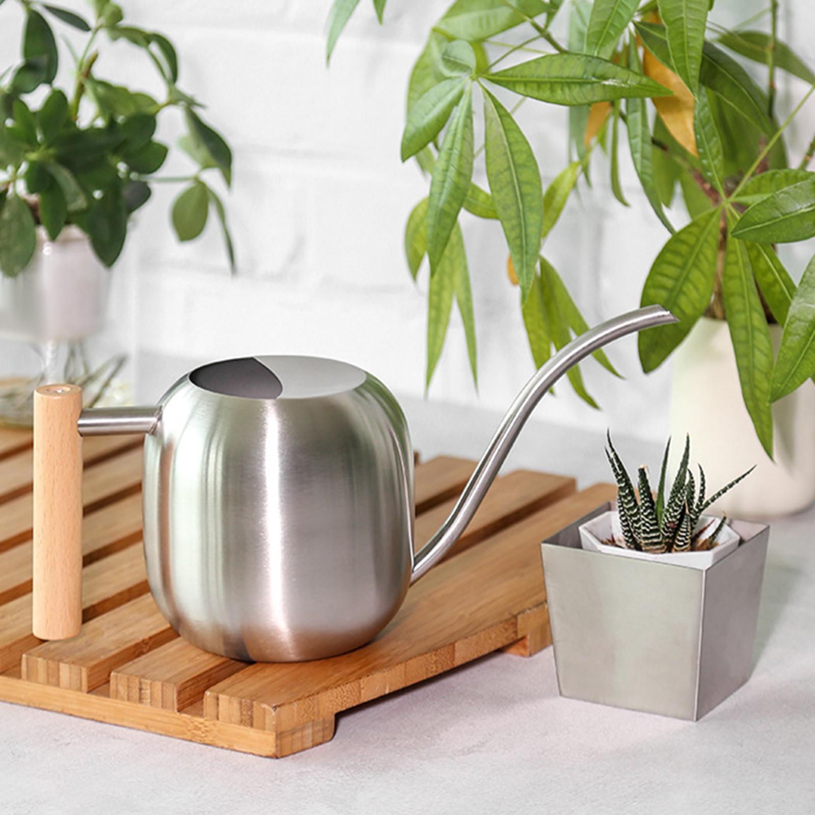 Stainless Steel Indoor Watering Can ,Modern Watering Can Pot, Wooden Handle Long Spout Watering Can for Patio, Flower ,Outdoor Decorative