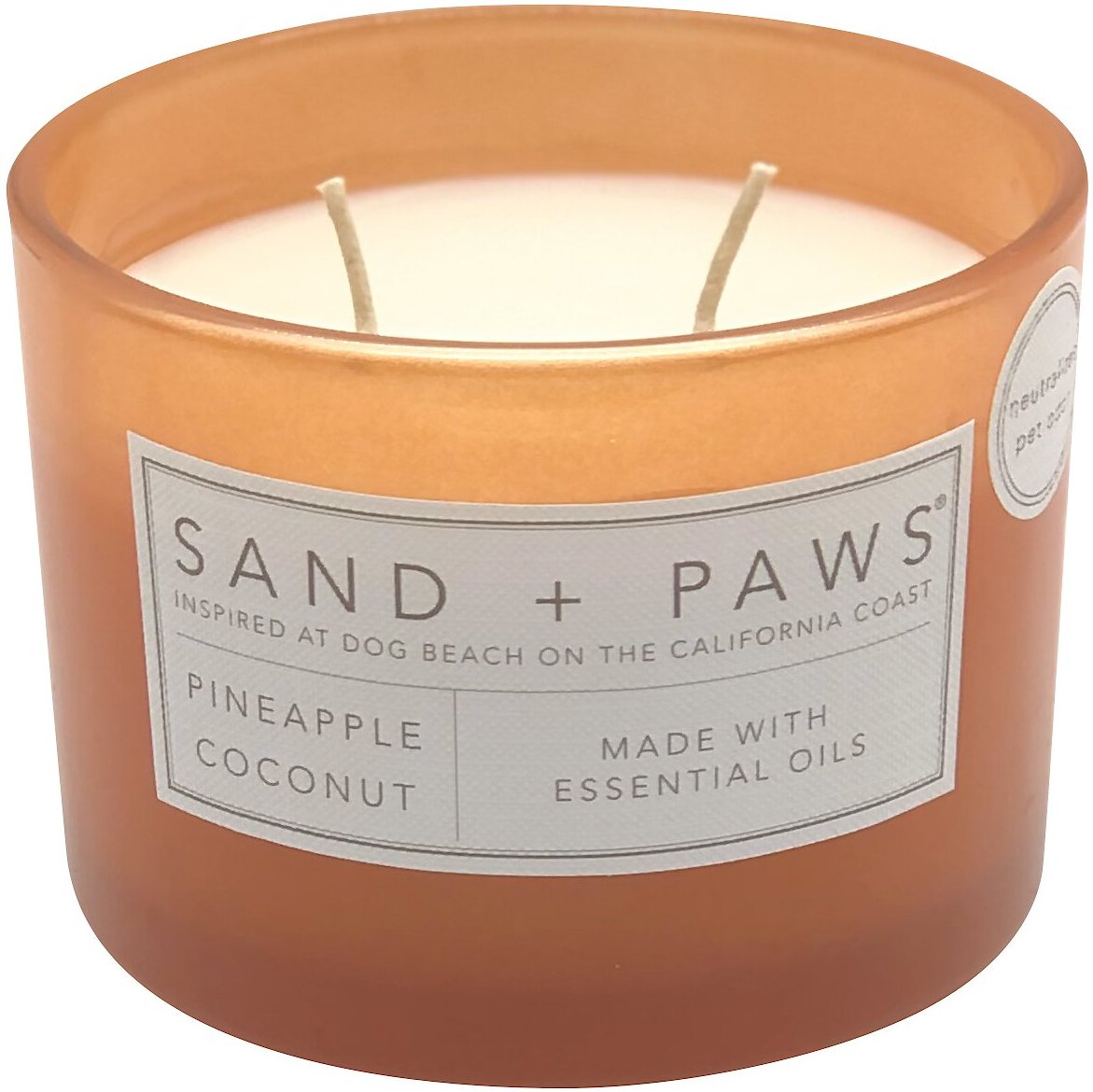 Sand + Paws Cockapoo Pineapple Coconut Scented Candle， 12-oz jar