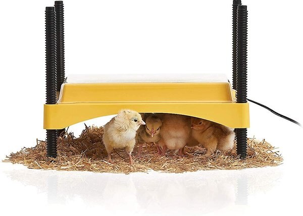 Brinsea EcoGlow Safety 600 Chick and Duckling Brooder