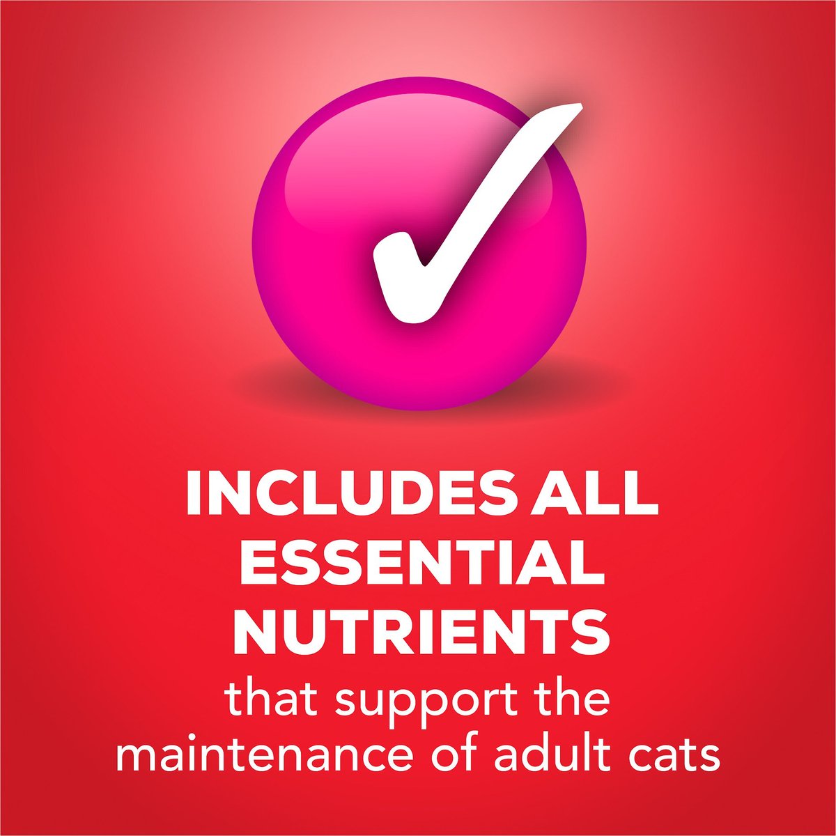 Friskies Tasty Treasures Pate Liver and Beef Wet Cat Food