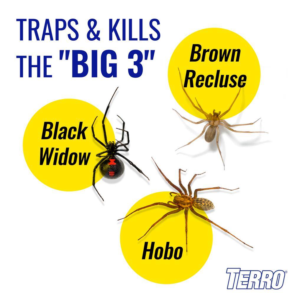 TERRO Non-Toxic Spider and Insect Trap (4-Count) T3206