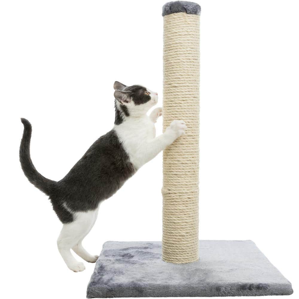 TRIXIE Parla Scratching Post, Dark Gray 43332