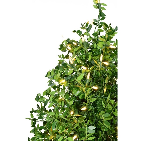 Fraser Hill Farm 2Ft. Boxwood Porch Tree in Black Pot with Warm White Lights，Set of 2