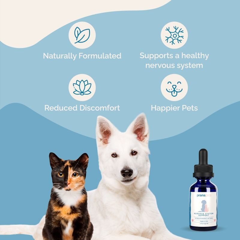 Prana Pets Nervous System Support Natural Medicine for Anxiety， Muscle Spasms and Seizures for Cats and Dogs， 2-oz bottle