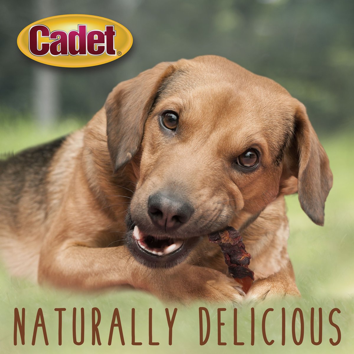 Cadet Gourmet Sweet Potato and Duck Wrapped Dog Treats