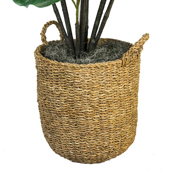 6' Artificial Fiddle Leaf Fig Tree In Basket With Handles - Lcg Florals