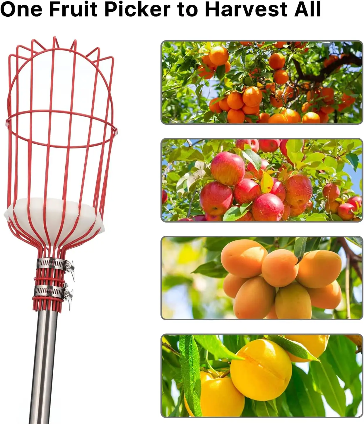 Adjustable Fruits Picker Tool with Stainless Steel Pole and Big Basket  Garden Fruit Catcher Hand Tool  Equipment Tree Picker