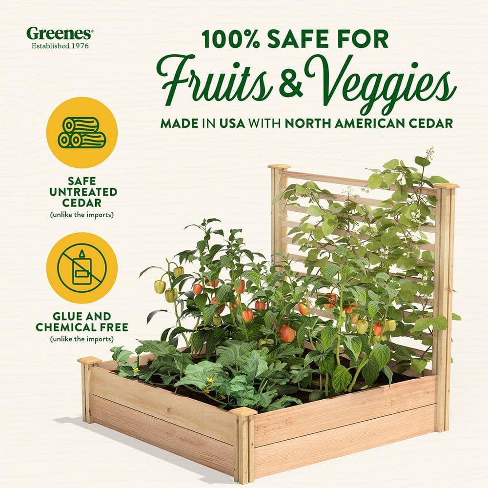 Greenes Fence 4 ft. x 4 ft. X 11 in. Premium Cedar Raised Garden Bed with Trellis RC484812PTRE