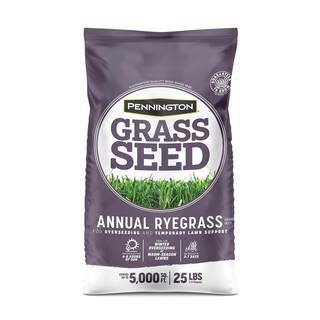 Pennington 25 lb. Annual Ryegrass Grass Seed 100082633