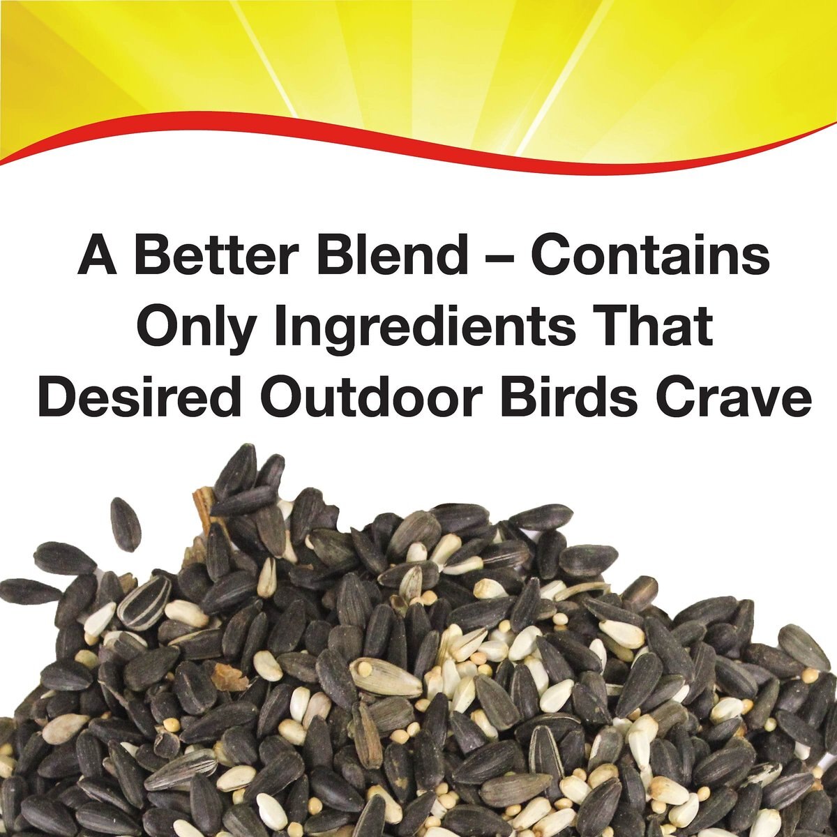 Wild Delight Better Blend Songbird Wild Bird Food