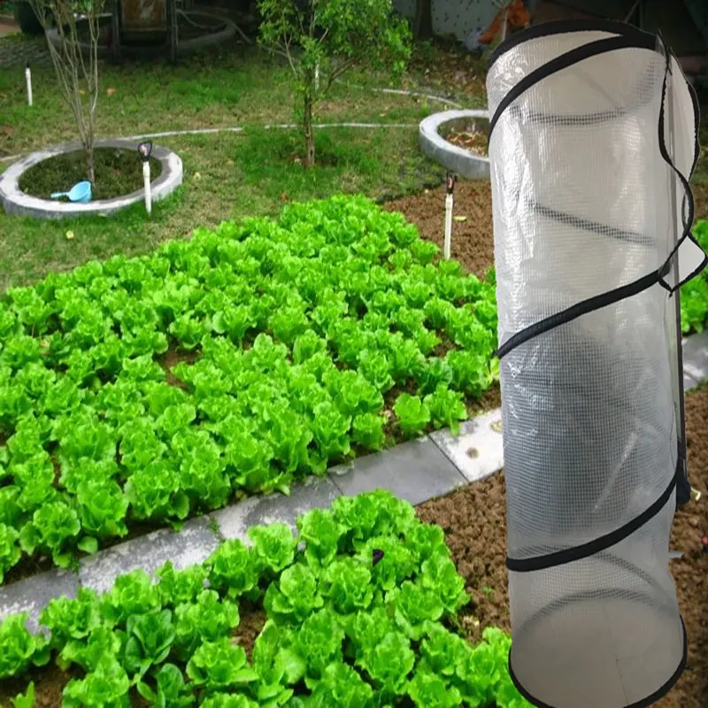 Mini Garden Greenhouses For Vegetables Used