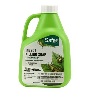 Safer Brand 16 oz. Outdoor Insect Killing Soap Concentrate 5118-6