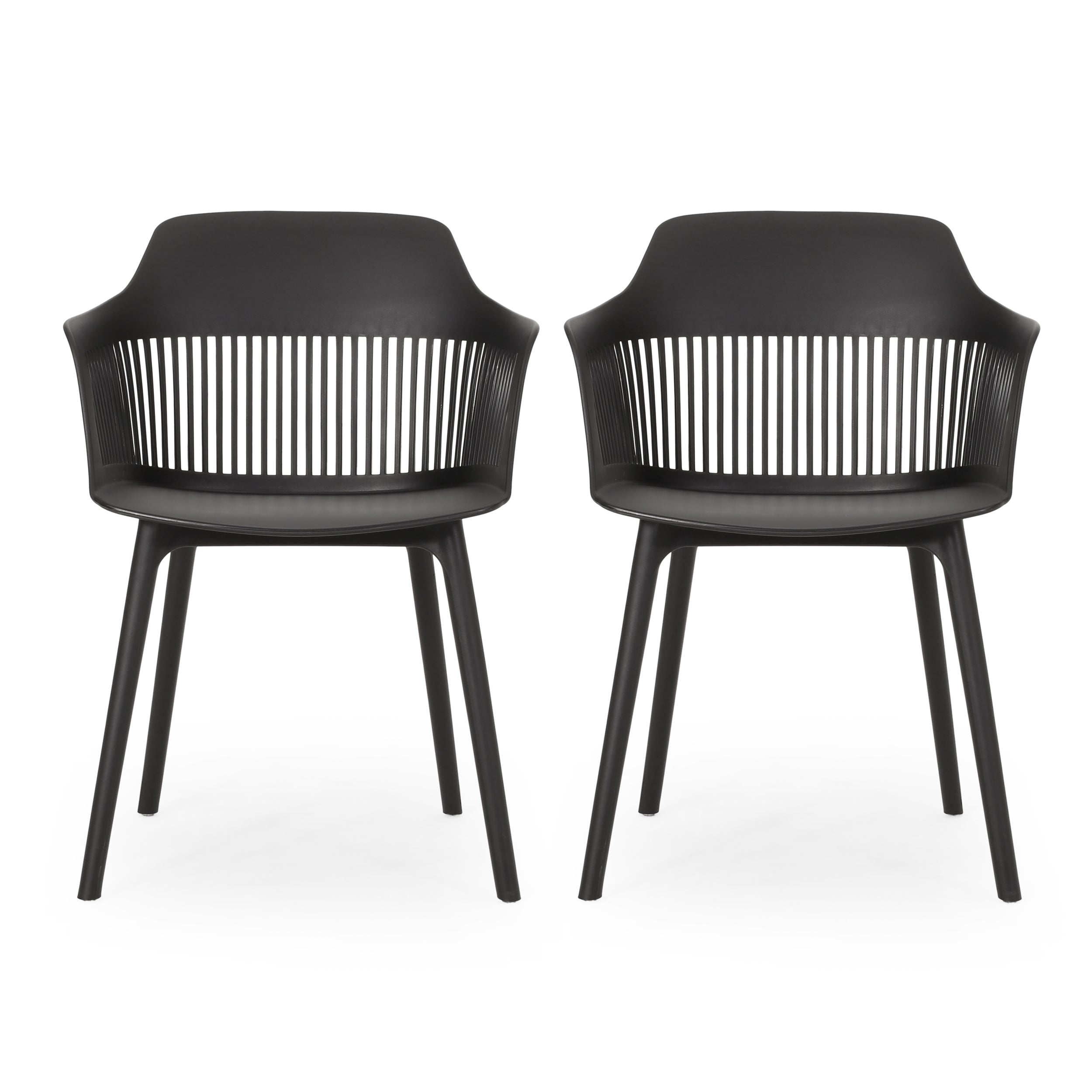 Irene Outdoor Modern Dining Chair (Set of 2)