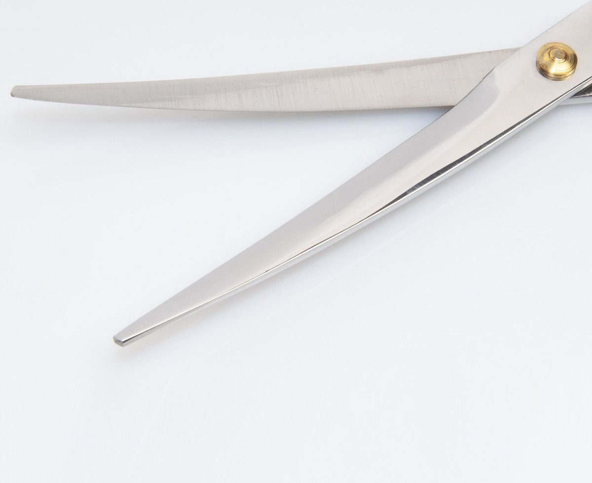 Diane Premier Curved Point-Tip Shear 111SC， 6.5-in