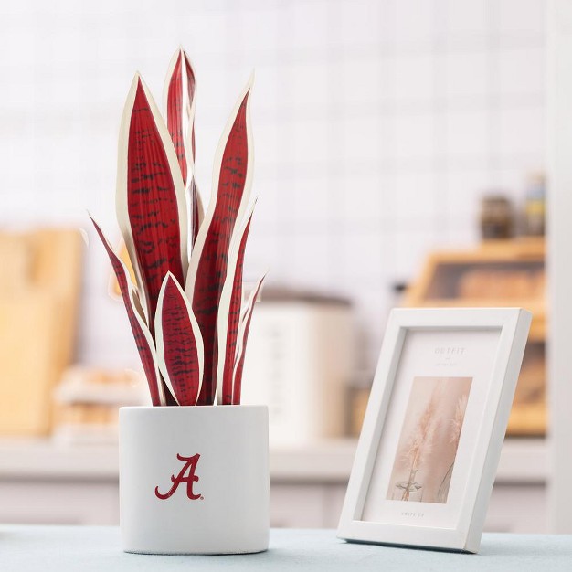 Quicskcart University Of Alabama Faux Snake Plant， Indoor Artificial Plant For Home Decor